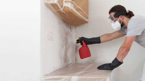 Professional Bathroom Mold Removal technician working in Madison, NJ