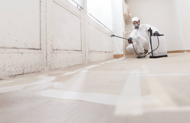 24/7 Emergency Bathroom Mold Removal experts in Madison, NJ