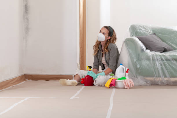 Reliable Bathroom Mold Removal contractor in Madison, NJ by WQB Mold Removal